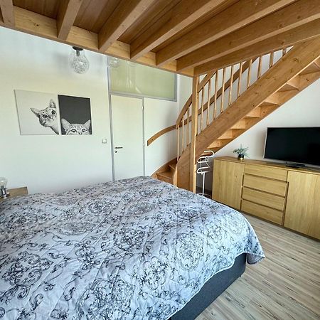 Miky Apartman Klinovec Garden Loučná pod Klínovcem Екстериор снимка
